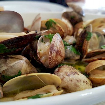 Ameijoas à Bulhão Pato